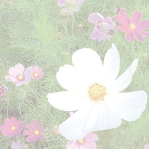 Reference 037b