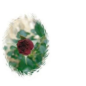 Reference 011b