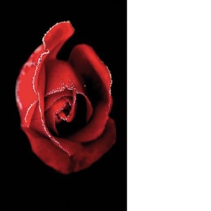 Reference 028a