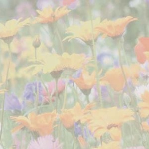 Reference 039a