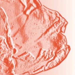 Reference 025a
